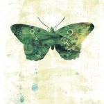 Green Butterfly Art Print - 5 X 7 - Jackie, Home..